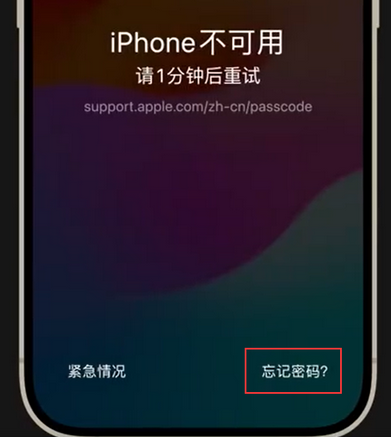 酒泉苹果手机密码维修分享iPhone忘记了刚设置的密码 