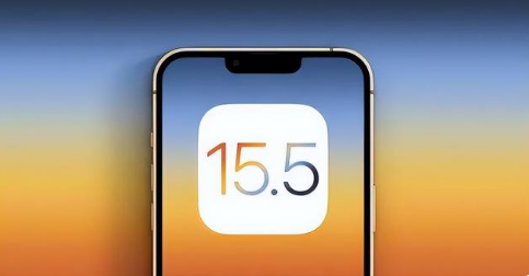 酒泉苹果手机维修分享iOS15.5 RC版升级建议 